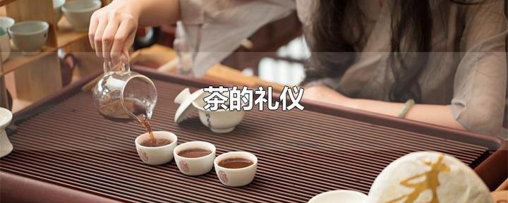 茶道禮儀