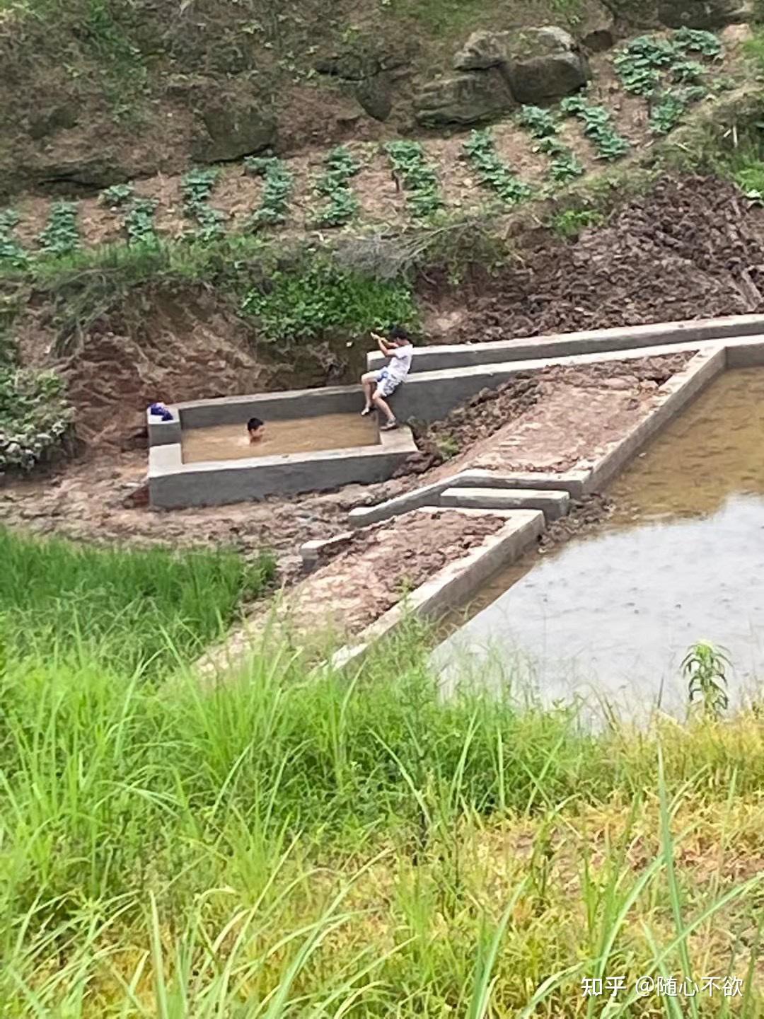 是谁在裸泳 小孩子图片