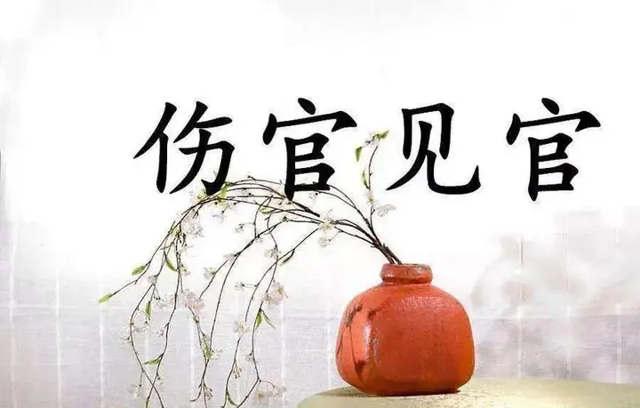 为什么“官星”遇到“伤官”反而发贵?伤官见官到底如何理解? - 知乎