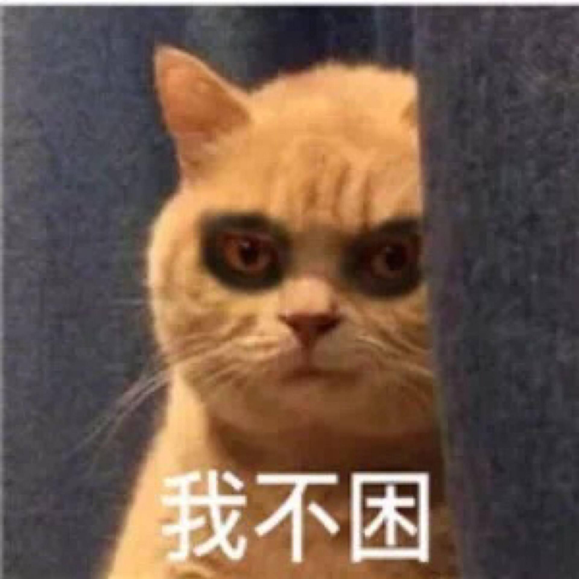 有没有关于睡觉熬夜表情包呀