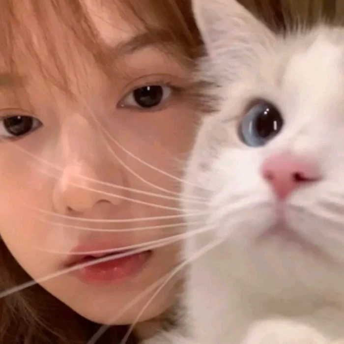 有没有女生抱着猫咪的头像呀