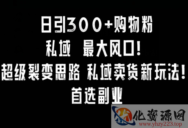 日引300+购物粉，超级裂变思路，私域卖货新玩法，小红书首选副业【揭秘】