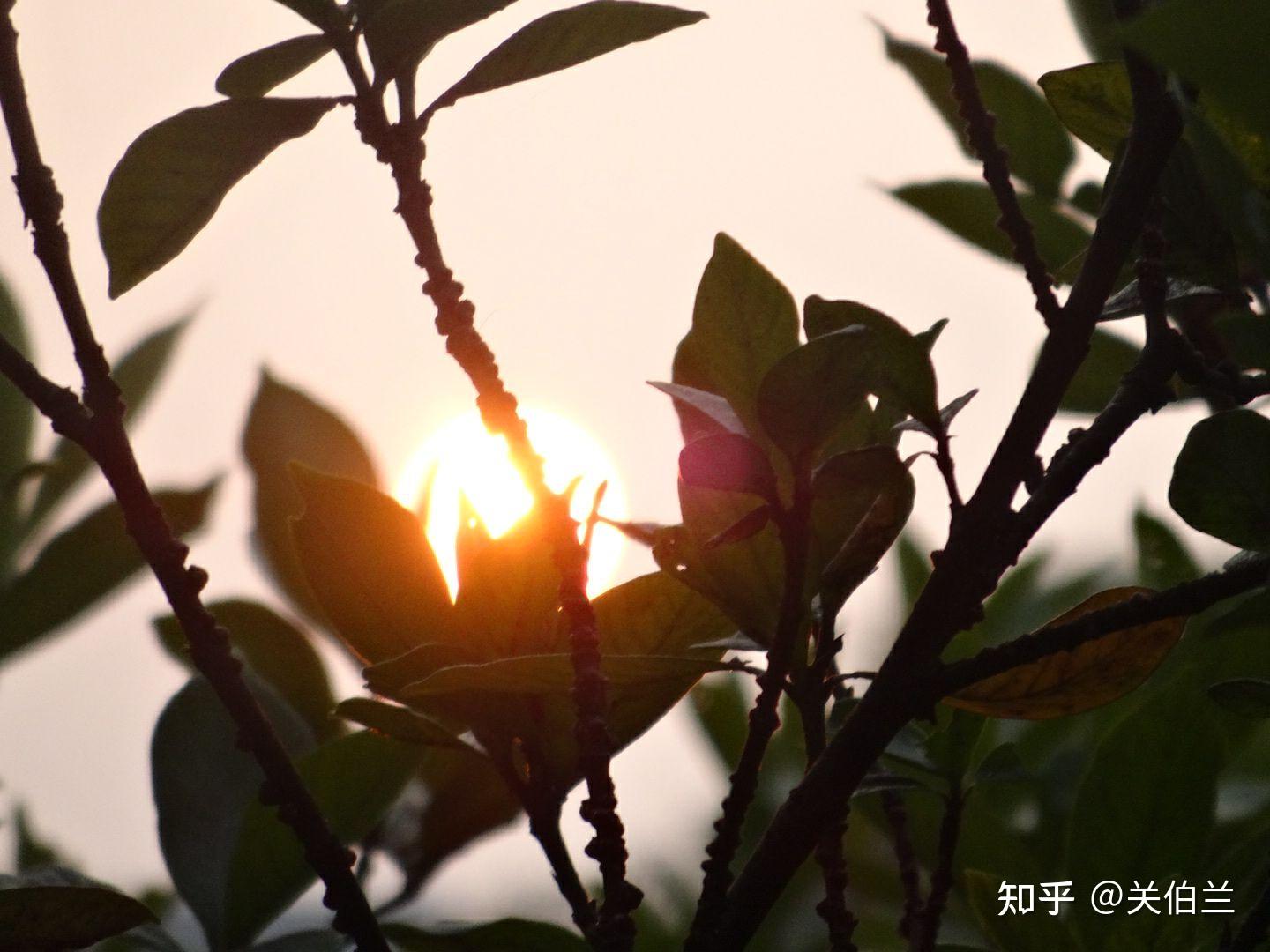 跟我说说你的高中生活吧