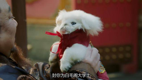 张陶事件是真的吗(张陶事件有什么进展)
