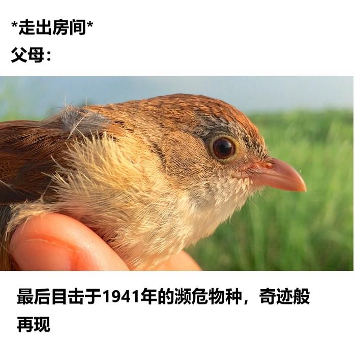 笑了就笑了的meme梗图 - 知乎