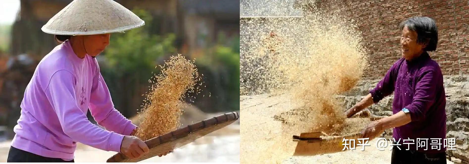 释谷米分离盛器:畚、箕、箩、筛、磨栏——兼释“门可罗雀”本义 - 知乎