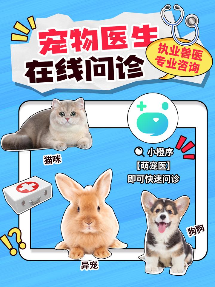 开元棋牌- 开元棋牌官网 - 开元棋牌APP下载女星丧礼兄弟反目！哥哥拒绝弟媳入灵堂是妈妈生前最后的意愿