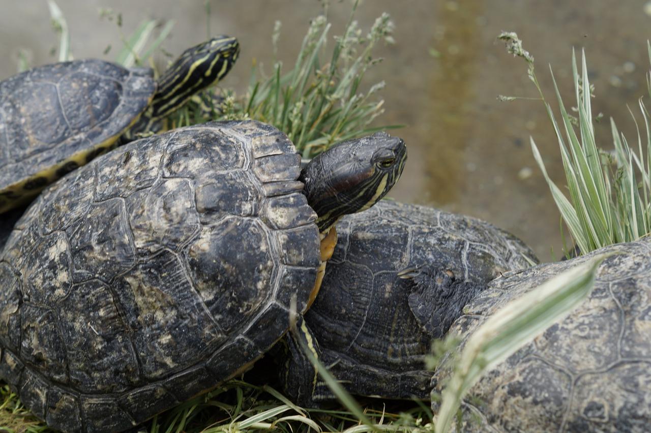 2. 增进亲子关系