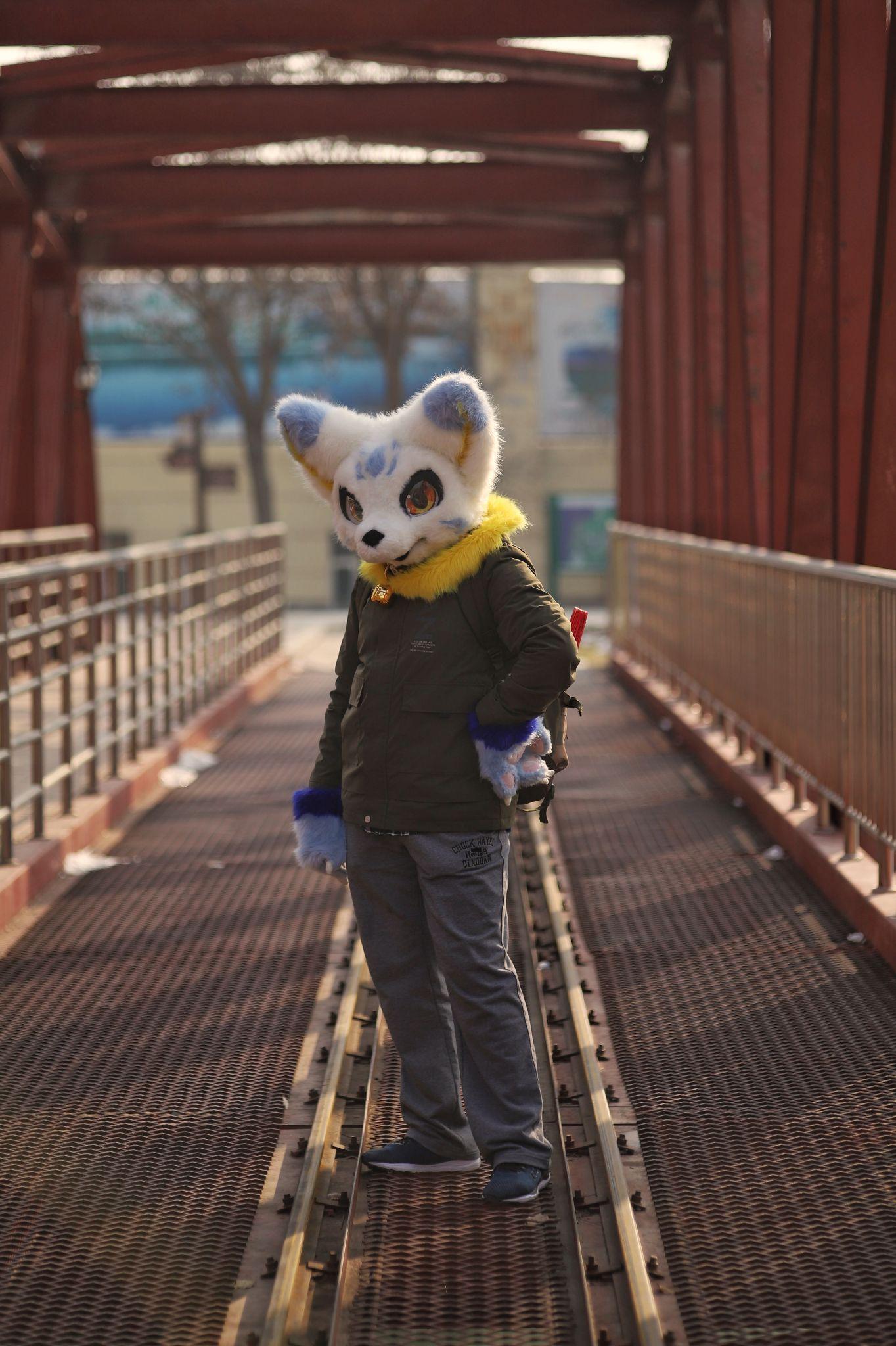 有没有人有好看的或萌的兽装(furry)图片? - 知乎