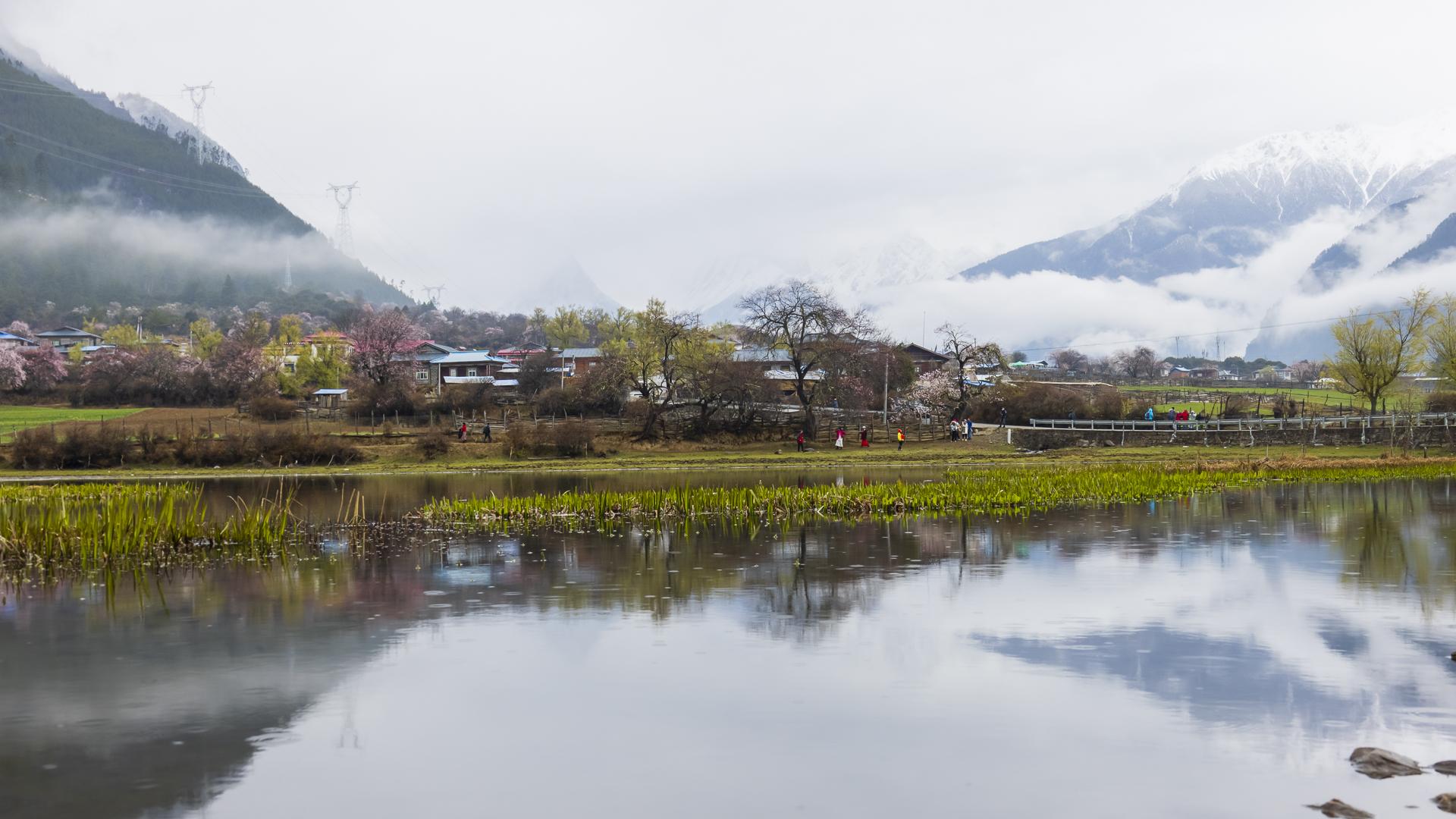 mm胃里面的风景图片