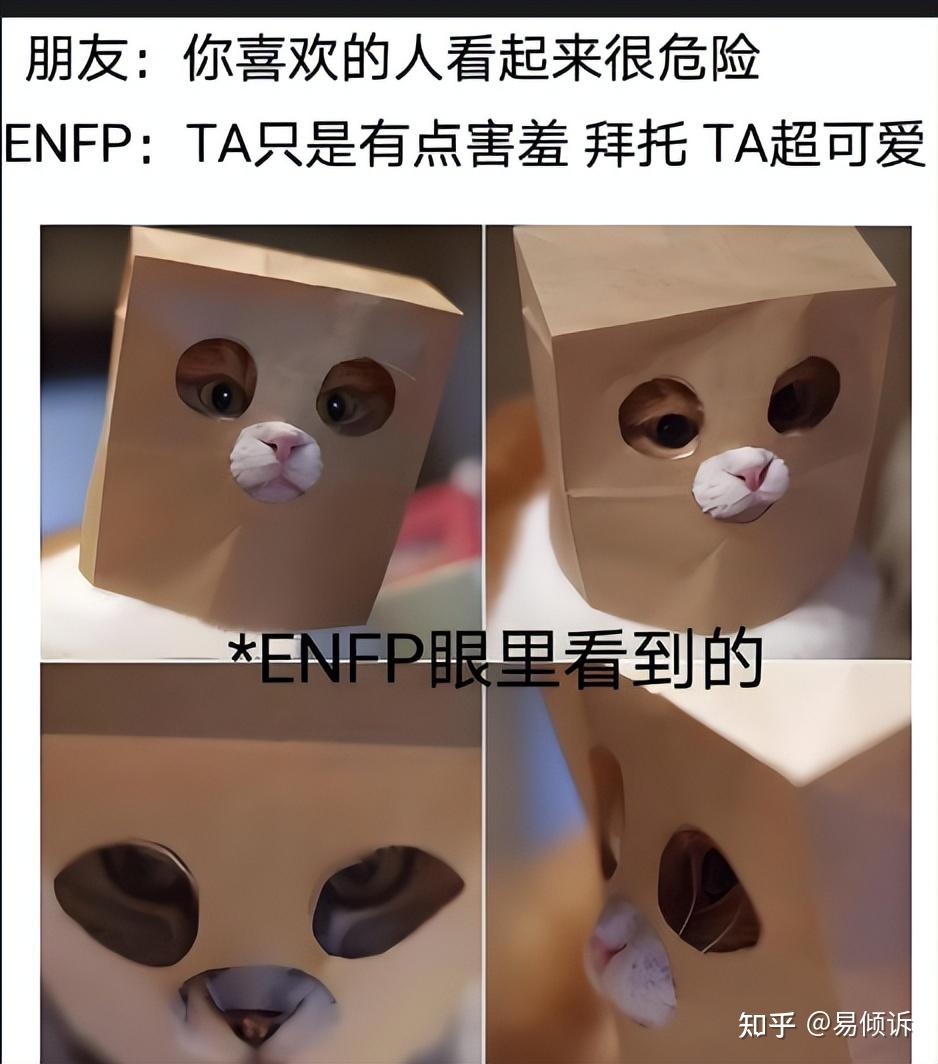 【MBTI】社交达人ENFP，为何拥有“快乐小狗”的昵称？ - 知乎