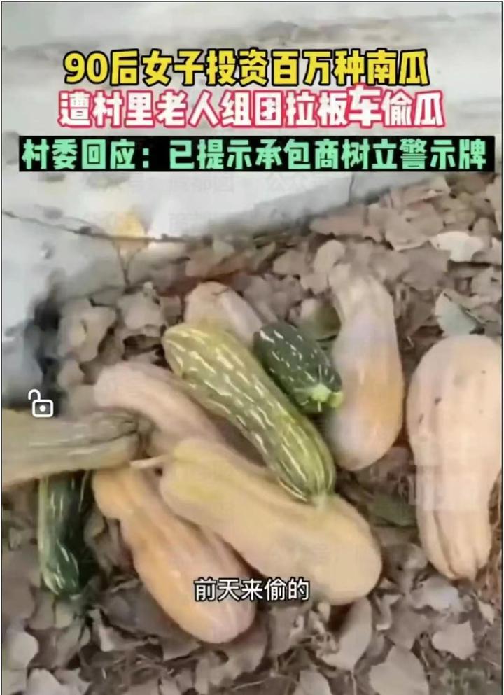 被偷瓜女主删了视频,村名曝光后被标“小偷村”,老人子女被喊话 知乎