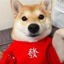 Zhihu profile picture for @affects