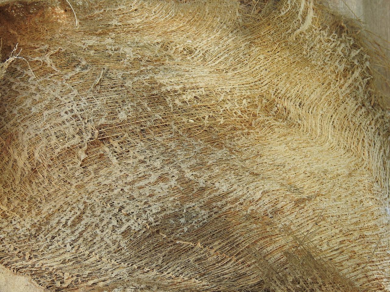 学区房投资指南