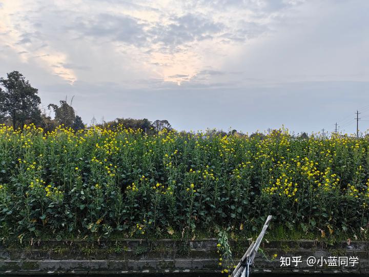 人，可以废物到什么程度？