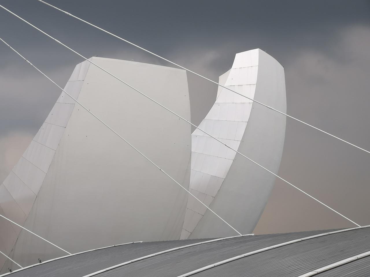 示范区开放是什么