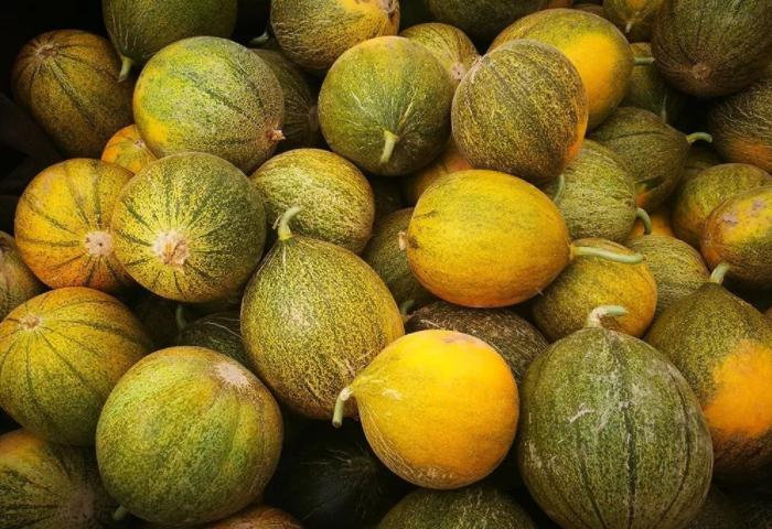 你不会还没吃过华莱士瓜吧?