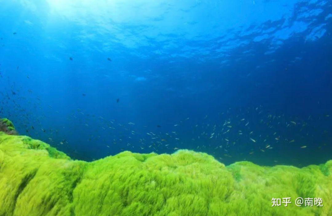 海水中的盐分主要来自于哪些地方? - 知乎