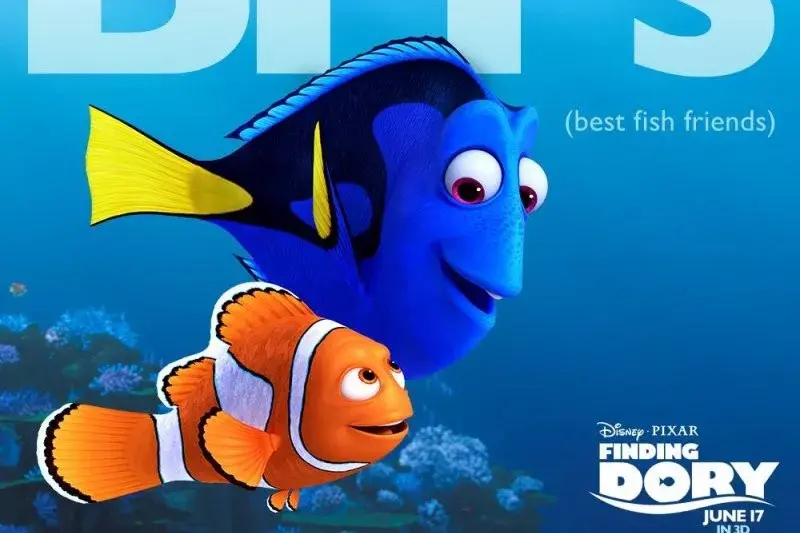 在加州艺术学院(calarts)就读是怎样一种体验?