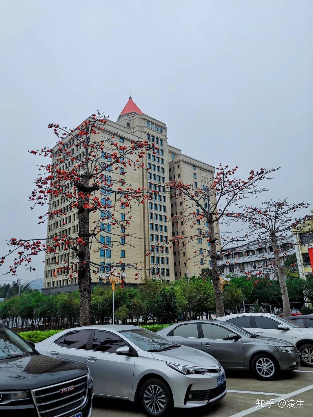67 写回答 登录/注册 高校 大学校园 大学就读体验 梧州学院 梧州