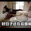 新之月