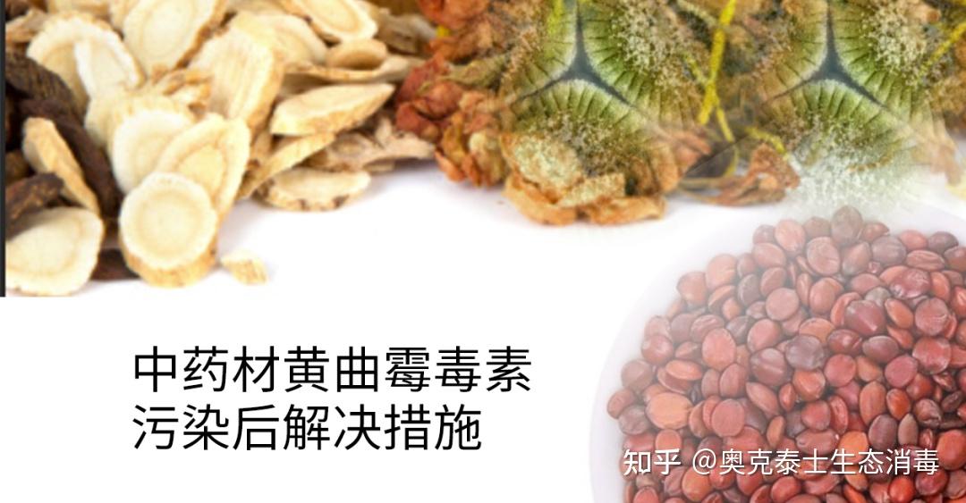 原来黄曲霉毒素和黄曲霉菌是有区别的？ 知乎 