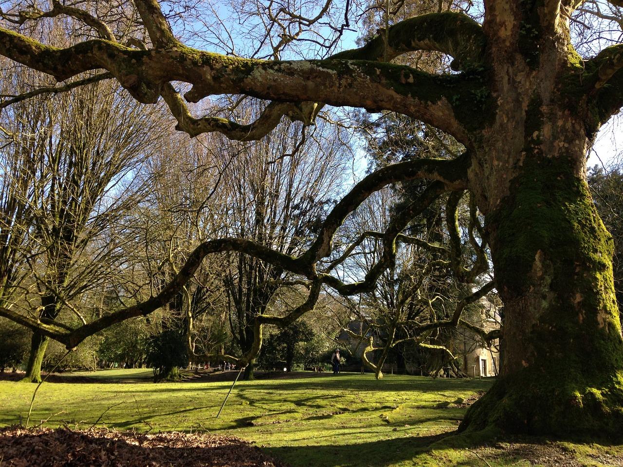 昆仑橡树园属于什么社区