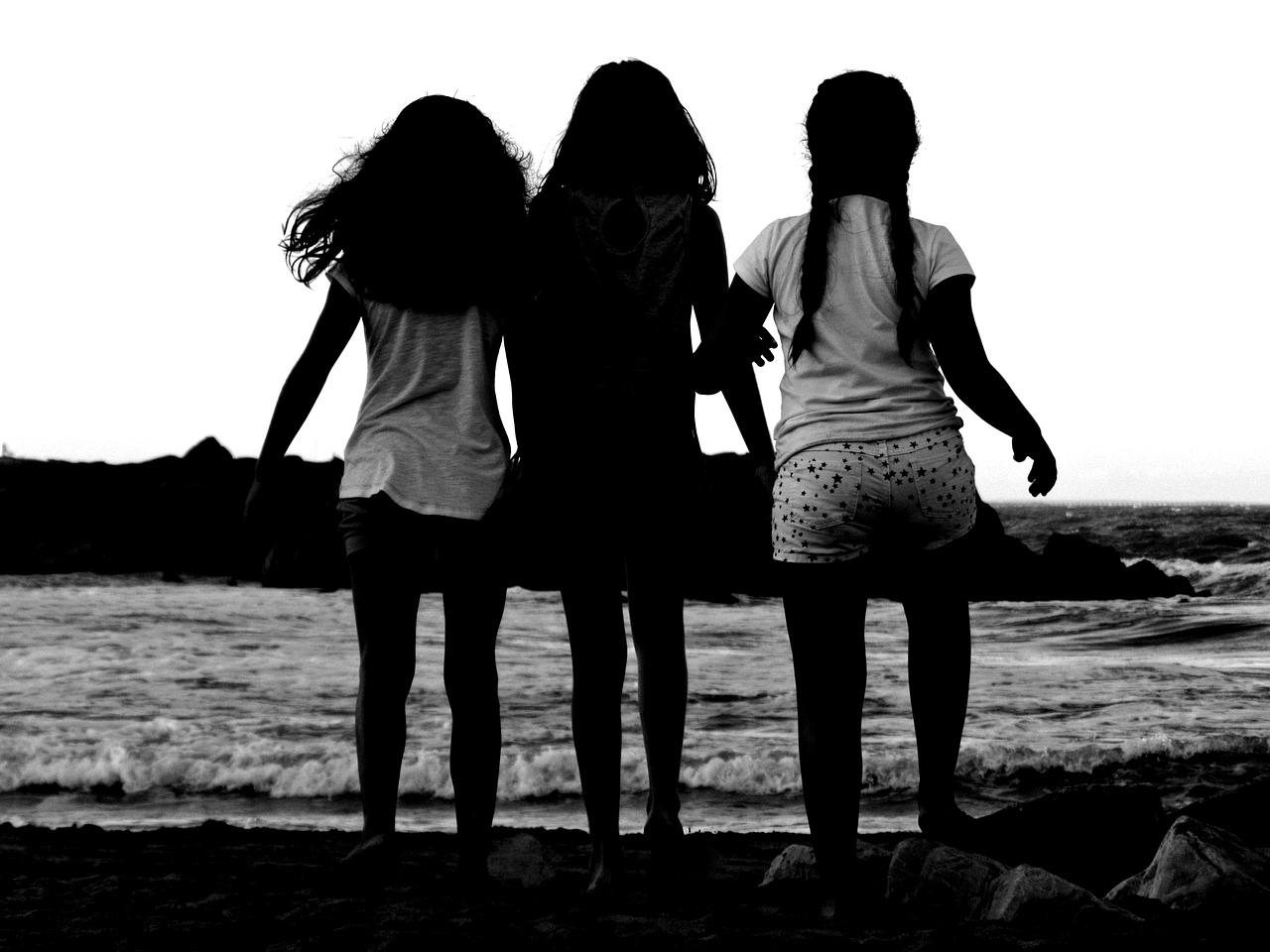 什么动物不会打湿