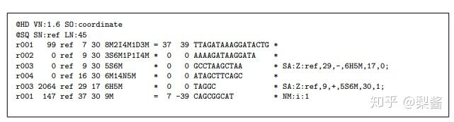 [生信资料 3] 生物信息学常见数据格式，汇总！ - 知乎