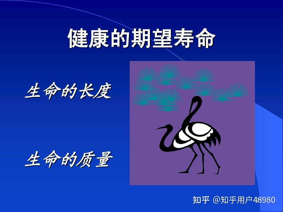 生命的质量与生命的长度只能选其一要如何选择