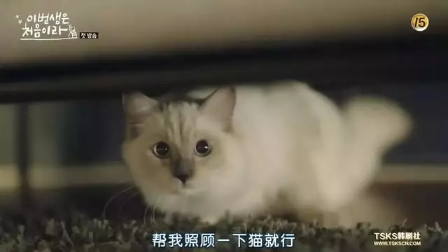 “突然,我什么都不想干了”——最具杀伤力的情绪「空虚」与「无意义感」,要如何应对? - 知乎