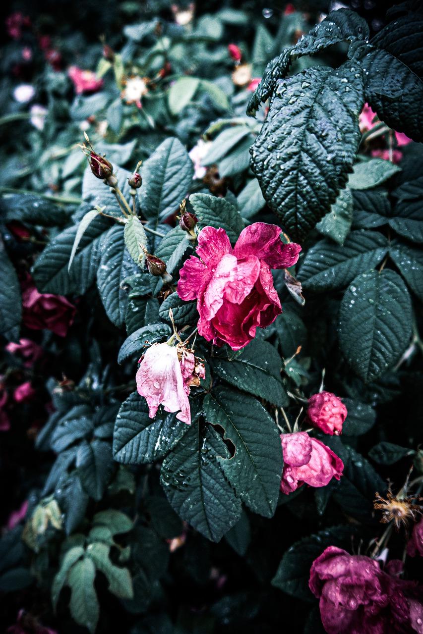 3. 智能家居配置