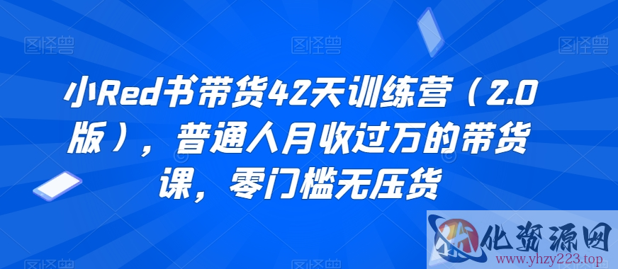 小Red书带货42天训练营（2.0版），普通人月收过万的带货课，零门槛无压货