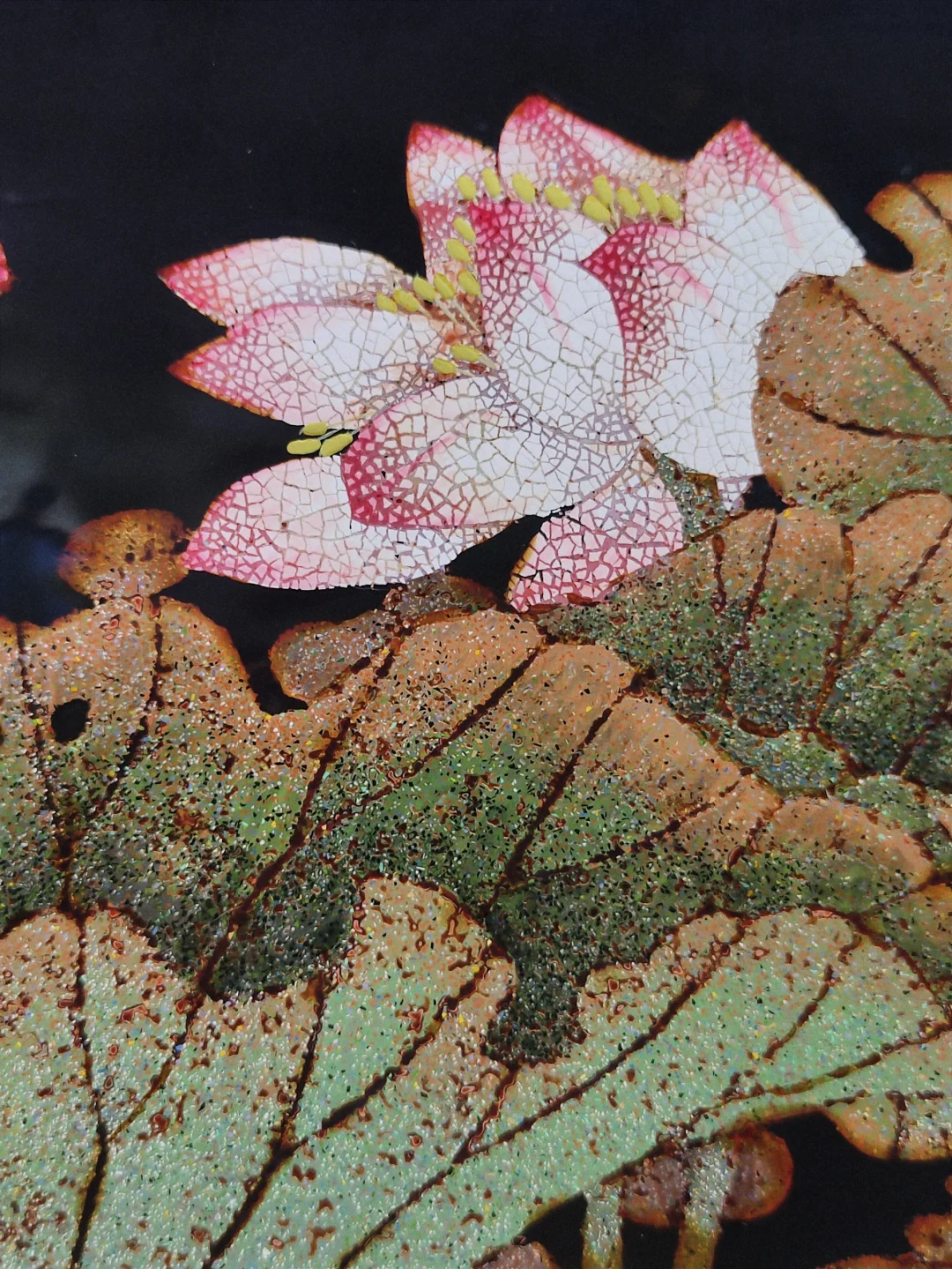 用蛋壳创作的画面让我始料未及