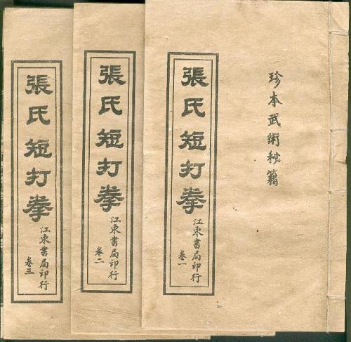 分享系列---石建义先生绵张拳一路 - 知乎