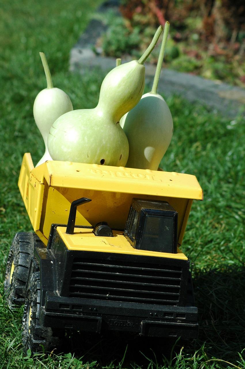 4. 花期长草花榜