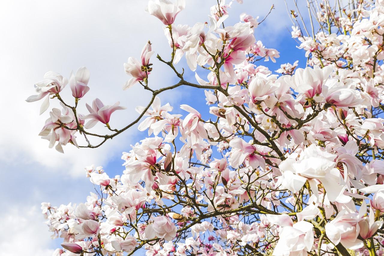 3. 景观高层户型