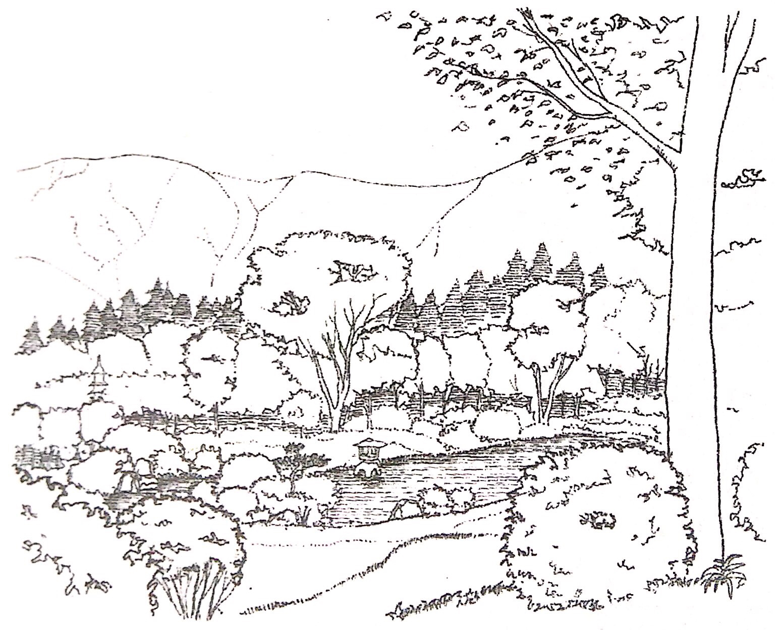 日本枯山水景观有哪些做法上的讲究?