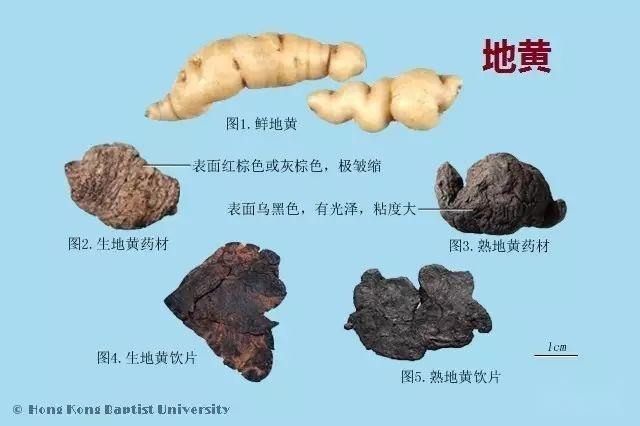 223种中药的鉴别图谱（彩图注释） - 知乎