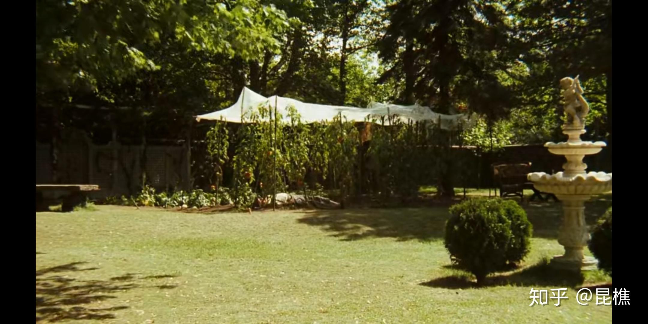 教父1里的泰西欧在一开始就是内奸吗