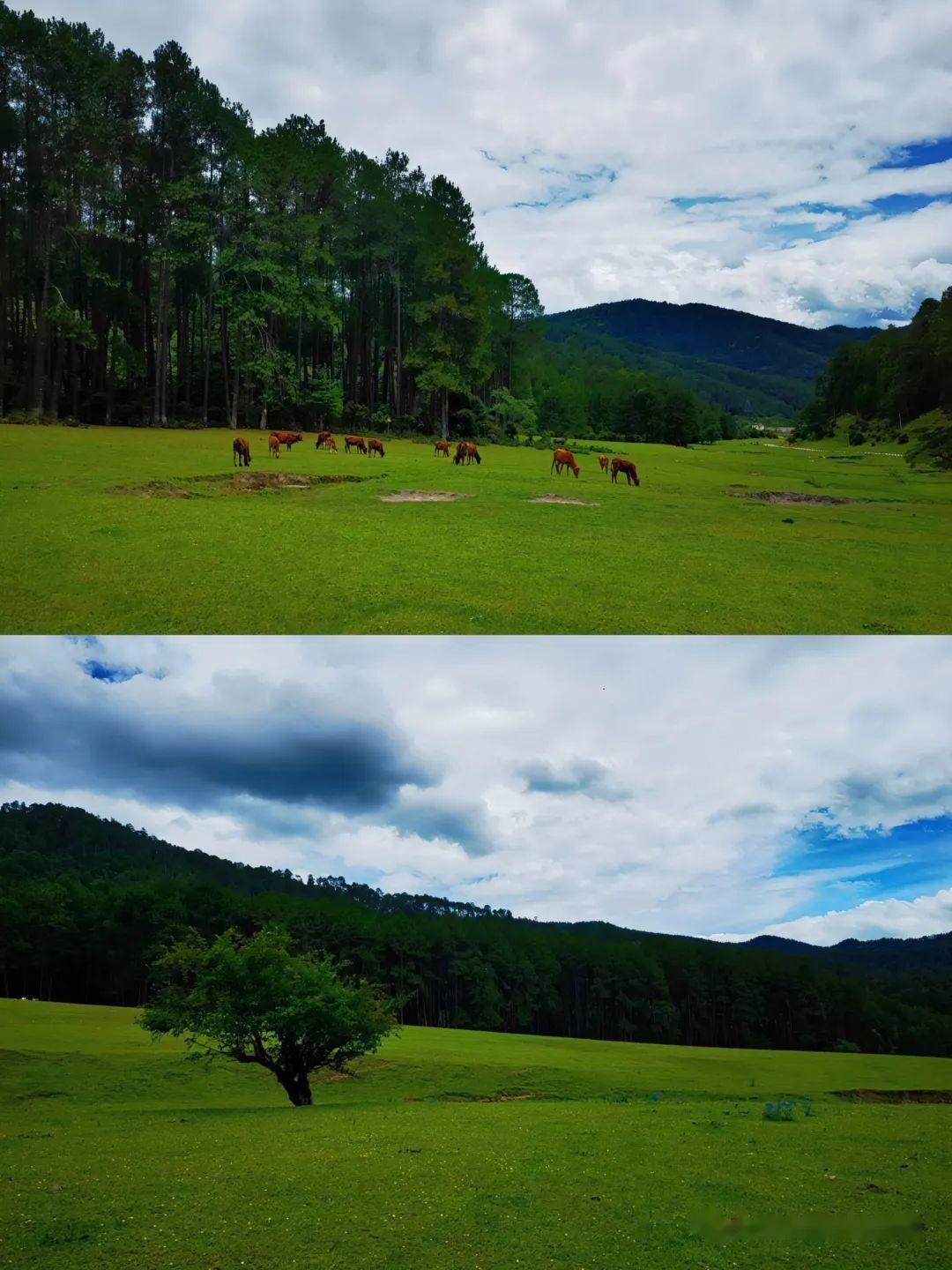 大理云龙县有哪些比较好玩的旅行景点? - 知乎