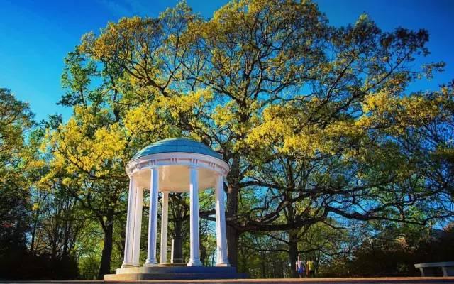 维克森林北卡教堂山圣母大学华盛顿圣路易斯南加大哪一所去读会计硕士