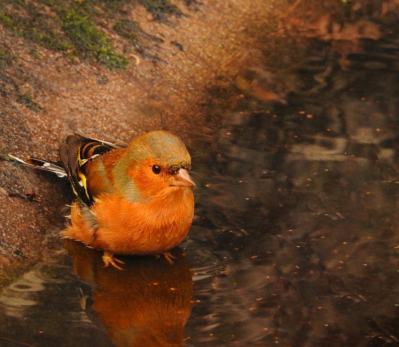 3. 安宁居住环境