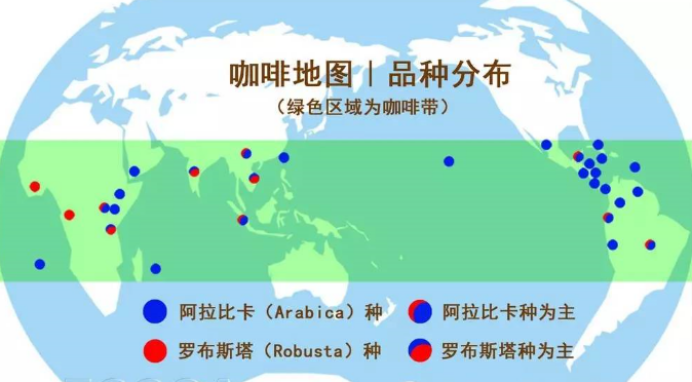 咖啡豆品种中阿拉比卡和罗布斯塔有什么区别呢