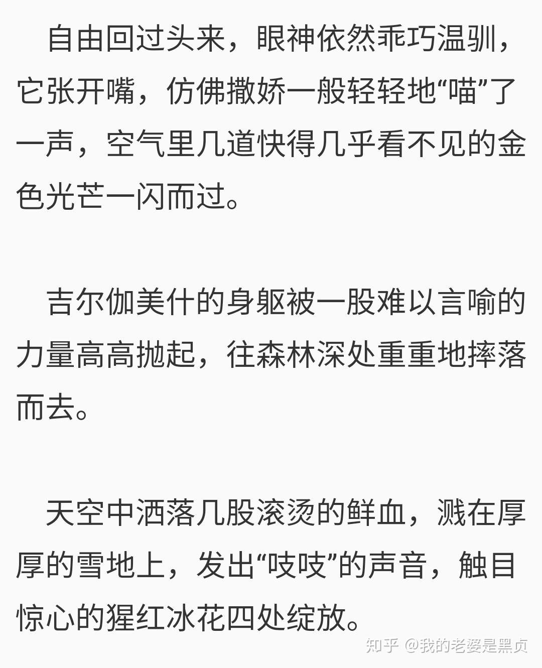 爵迹中的自由是什么来头