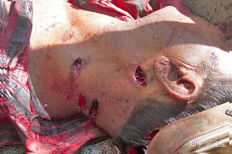 被老虎咬是一种怎样的体验? - 知乎