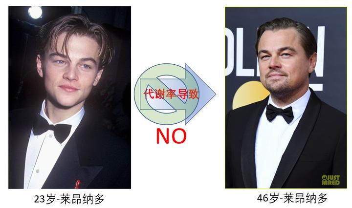 中年发福:人体代谢率 不背此锅 - 知乎