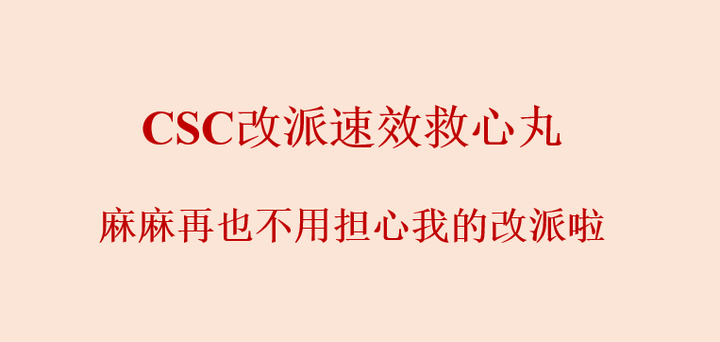 CSC博士联培改派经验分享 - 知乎