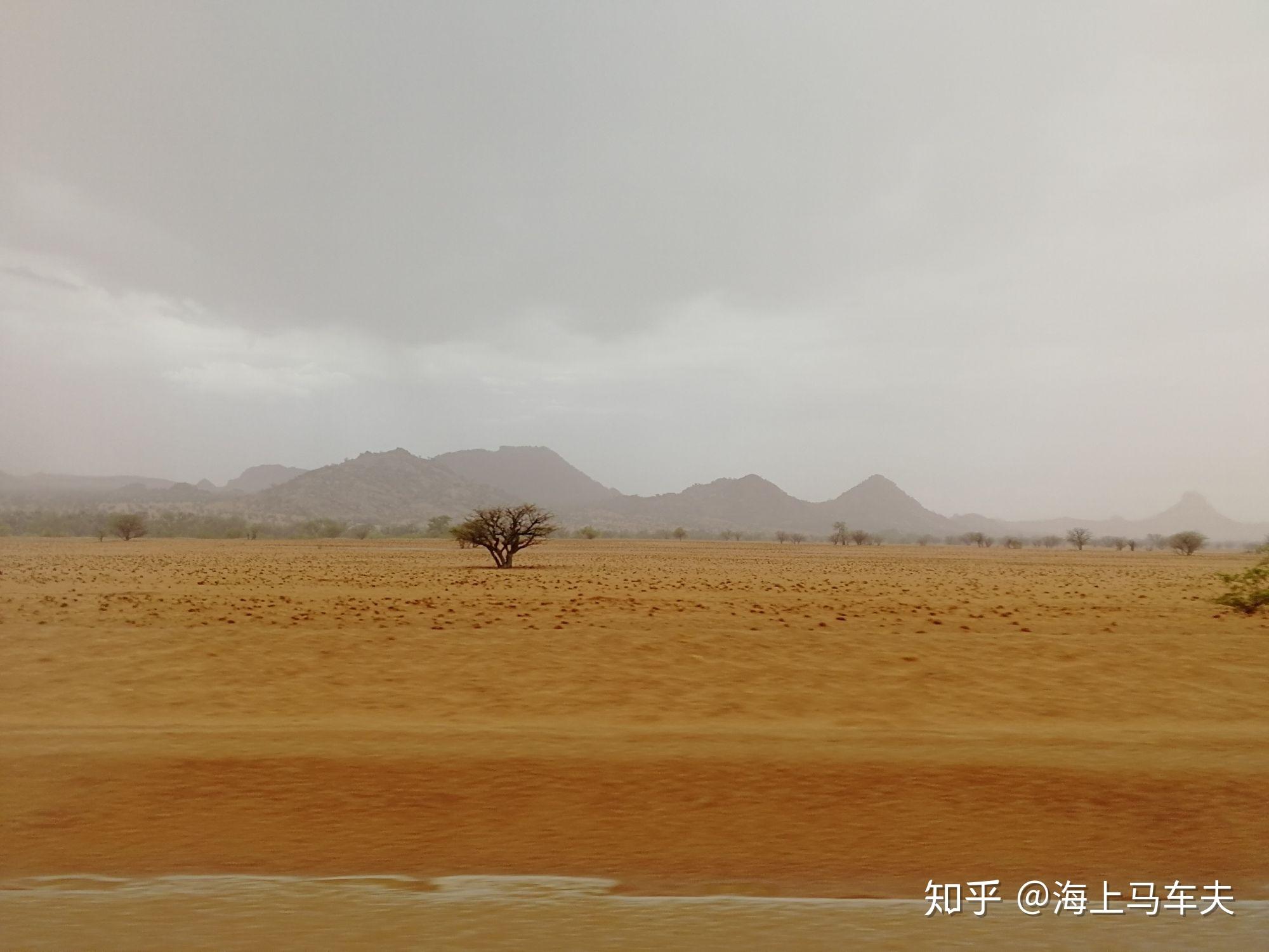 非洲西部稀树大草原的旱季是什么样的景观? - 知乎