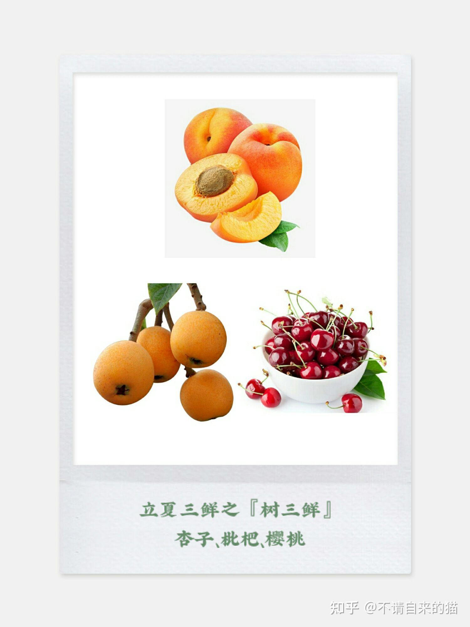 江南地区一直流传的「立夏尝三鲜」谚语指的是哪三鲜?